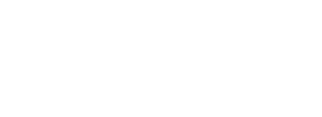 bioventrix