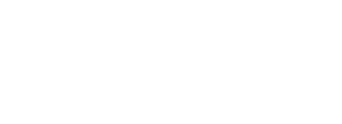 centinel