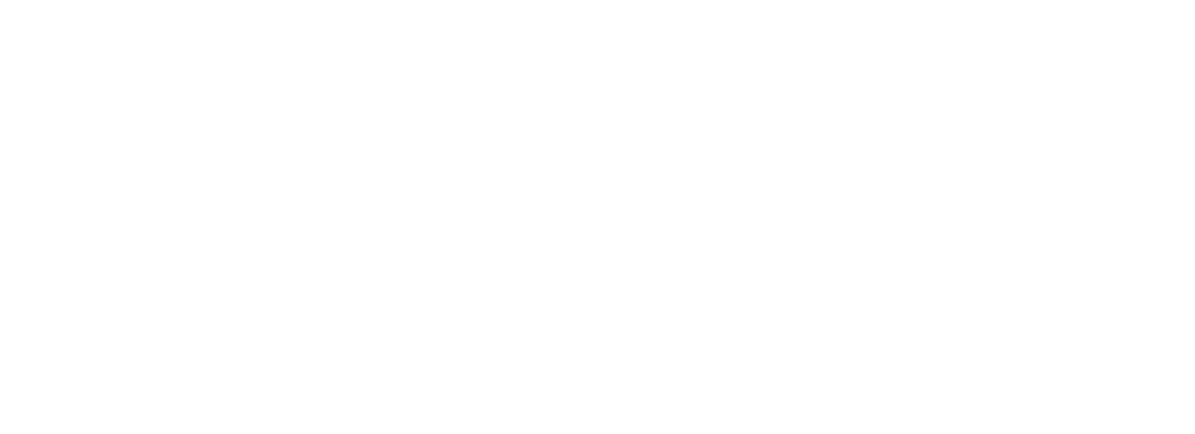 lem