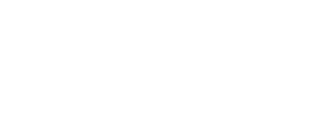 nanovis